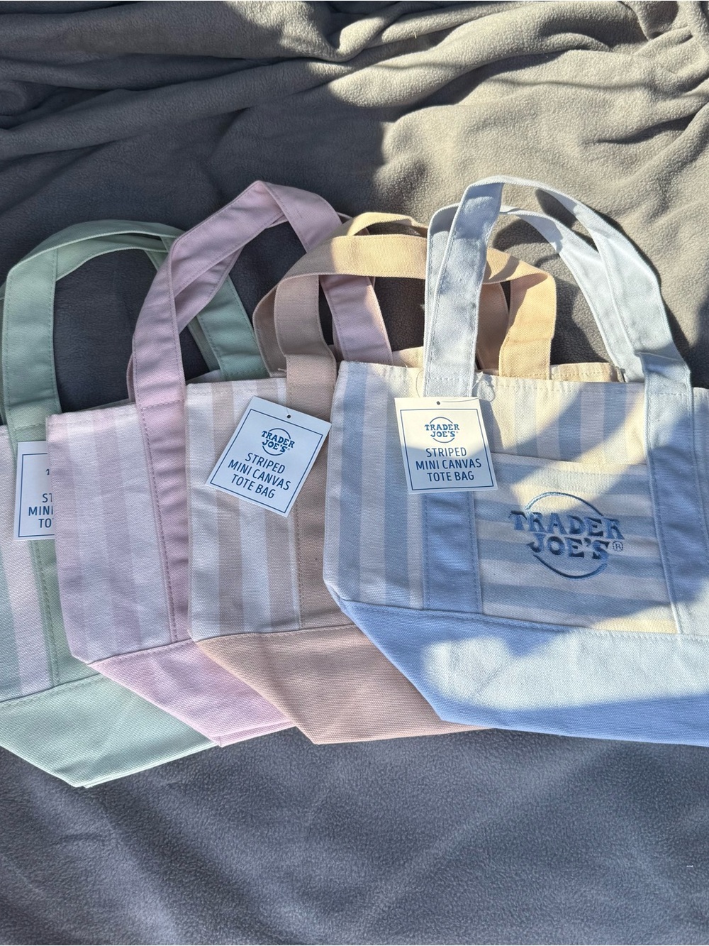 Trader Joe’s Mini Pastel Stripe Canvas Tote Bag - New With Tags (INDIVIDUALS)
